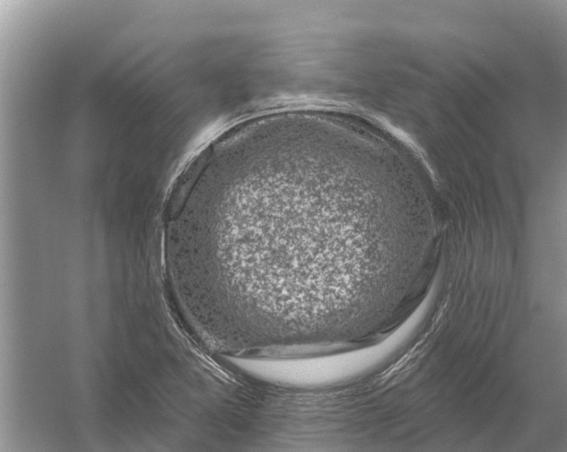 X0000058141365200510072020