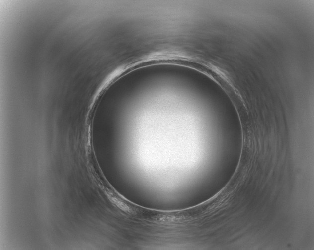 X0000058141366200510072020