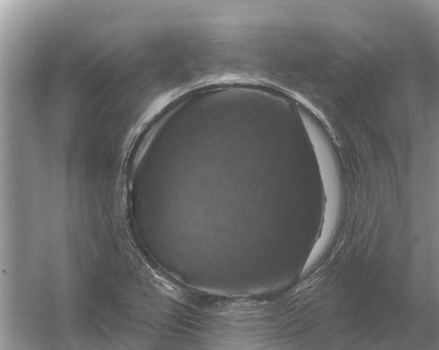 X0000058141367200510072020