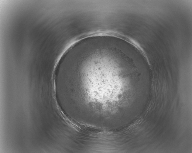 X0000058141368200510072020