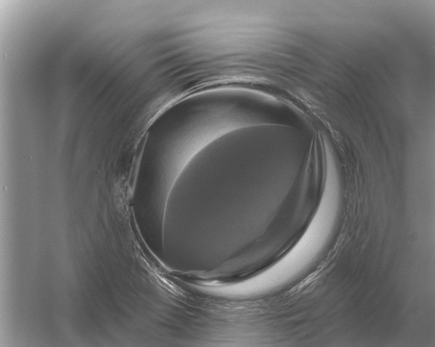 X0000058141369200510072020