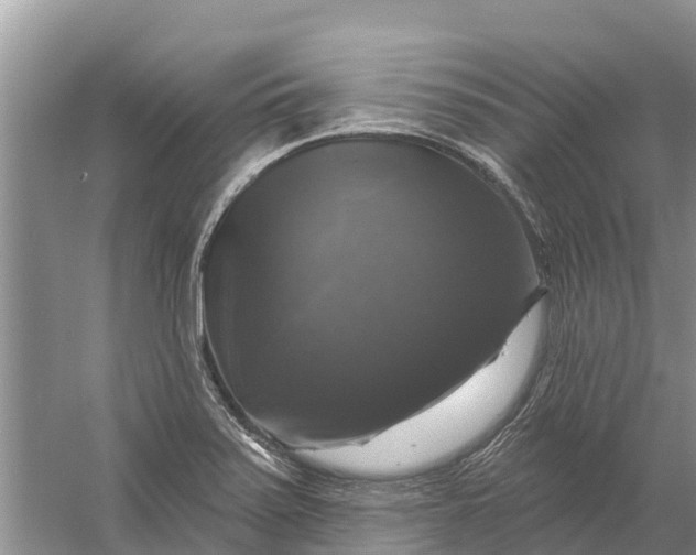 X0000058141371200510072020