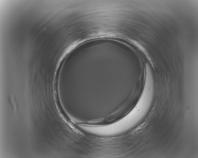 X0000058141373200510072020