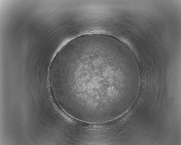 X0000058141374200510072020