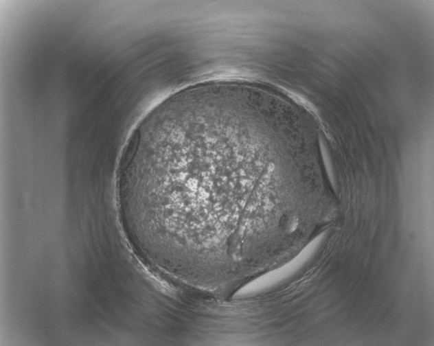 X0000058141375200510072020