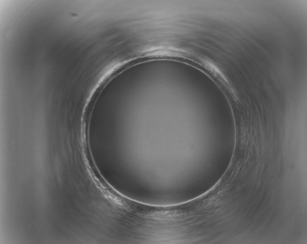 X0000058141376200510072020