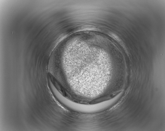 X0000058141377200510072020