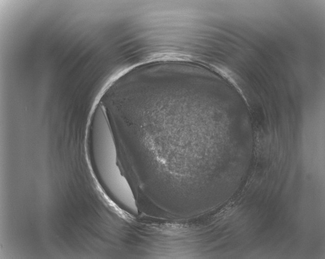 X0000058141379200510072020