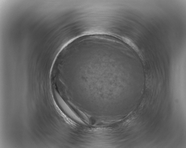 X0000058141380200510072020