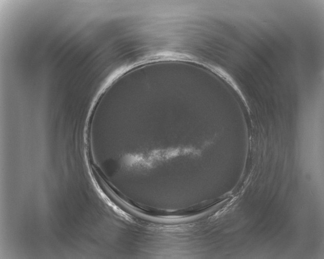 X0000058141381200510072020