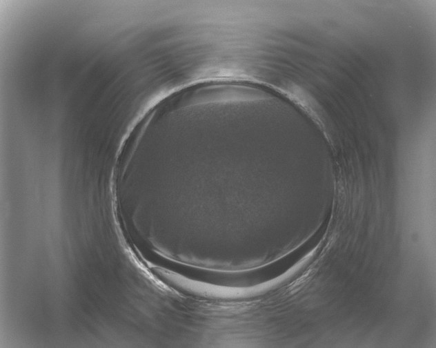 X0000058141382200510072020