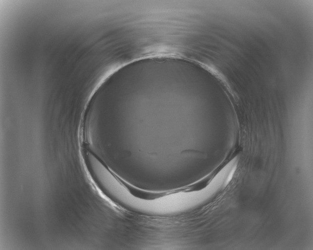 X0000058141383200510072020