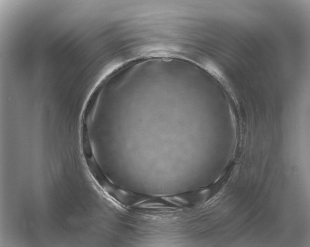 X0000058141384200510072020