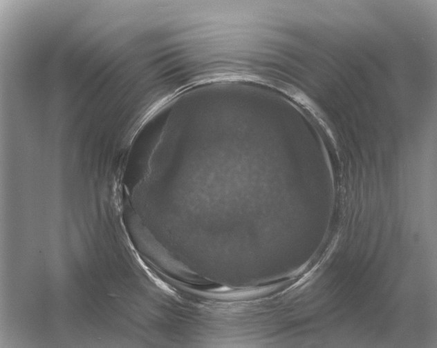 X0000058141385200510072020