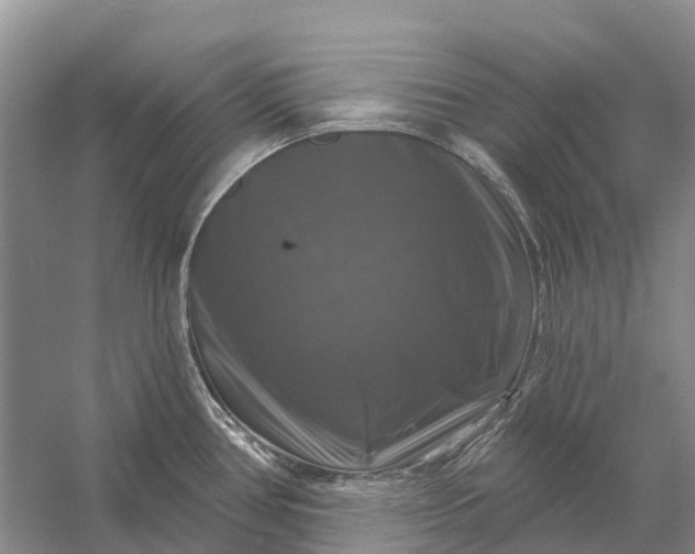 X0000058141386200510072020