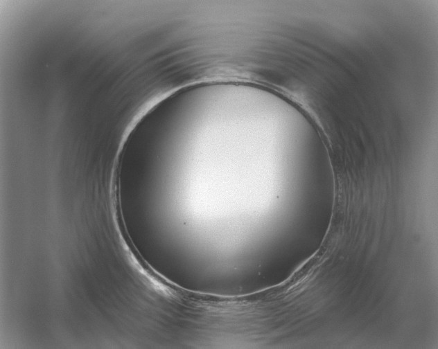 X0000058141387200510072020