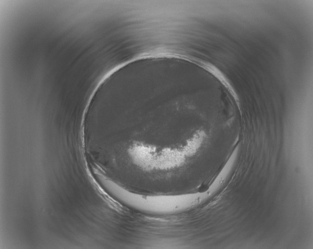 X0000058141388200510072020