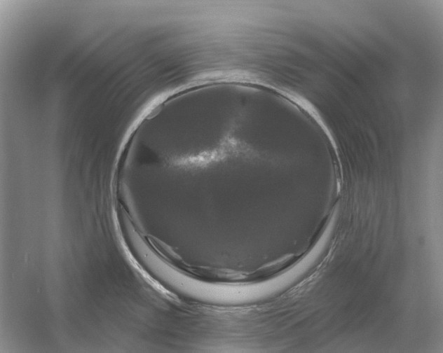 X0000058141389200510072020