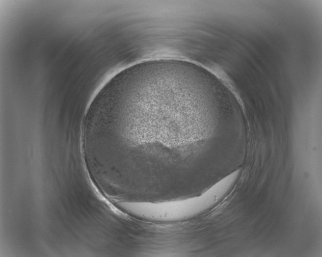 X0000058141390200510072020