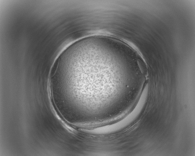 X0000058141391200510072020