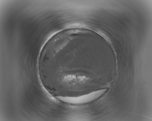 X0000058141392200510072020