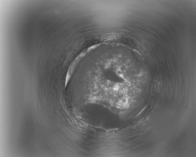 X0000058141393200510072019