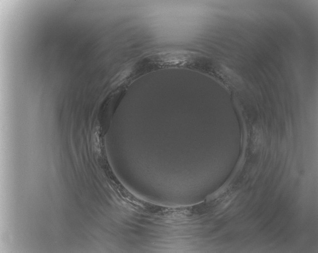 X0000058141394200510072019