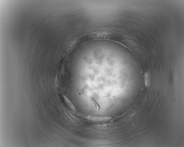 X0000058141395200510072019