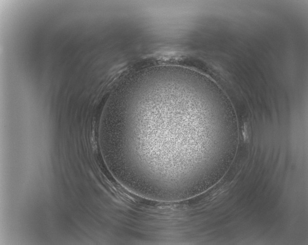 X0000058141396200510072019