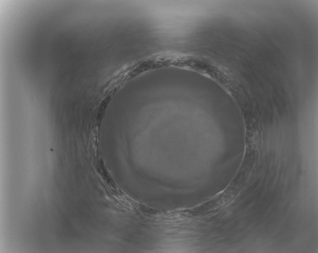 X0000058141397200510072019