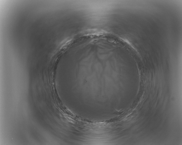 X0000058141399200510072019