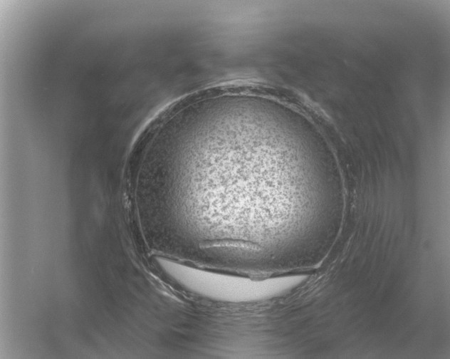 X0000058141400200510072019