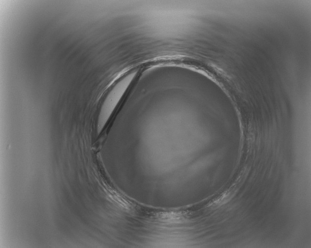 X0000058141401200510072019