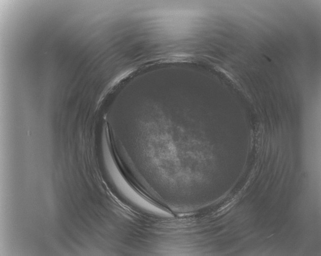 X0000058141402200510072019