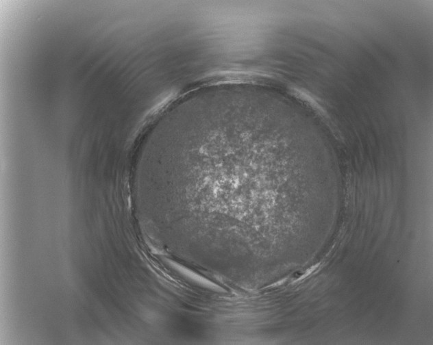 X0000058141403200510072019