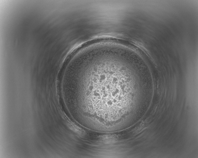 X0000058141404200510072019