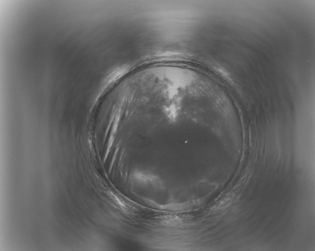 X0000058141405200510072019