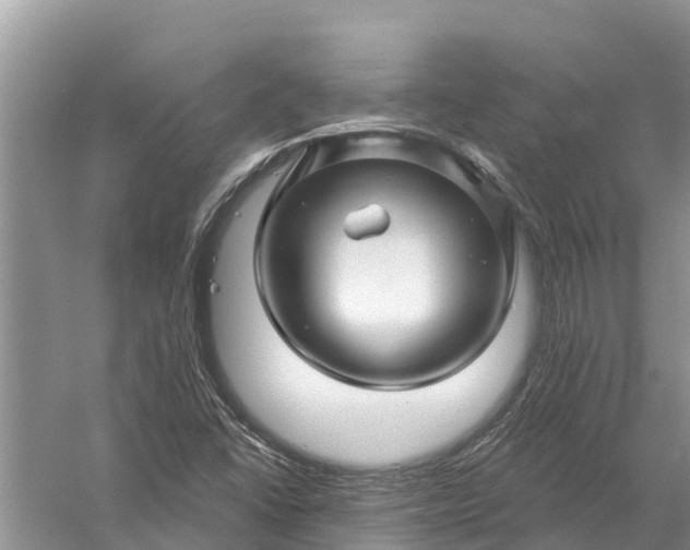 X0000058141406200510072019