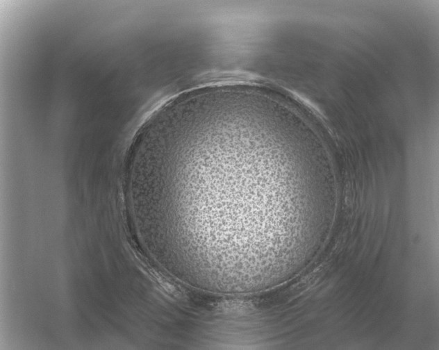 X0000058141407200510072019