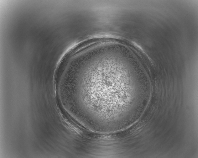 X0000058141408200510072019