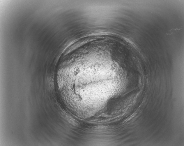 X0000058141409200510072019