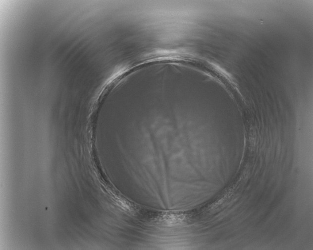 X0000058141411200510072019