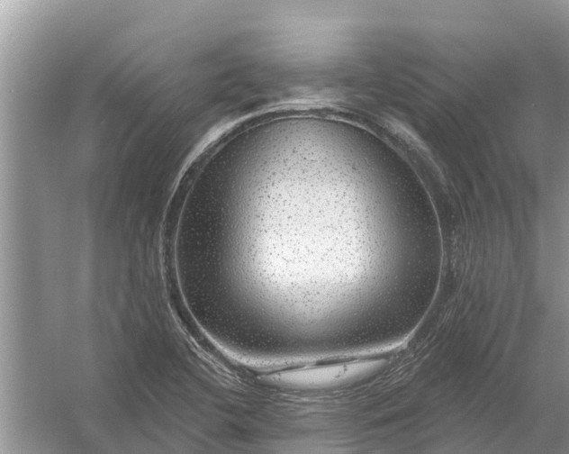 X0000058141412200510072019