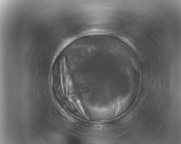 X0000058141413200510072019