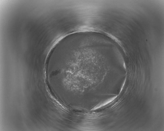 X0000058141415200510072019