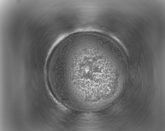 X0000058141416200510072019