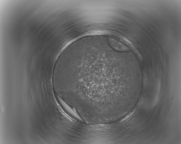 X0000058141417200510072019