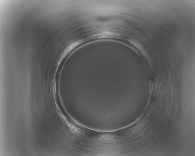 X0000058141418200510072019