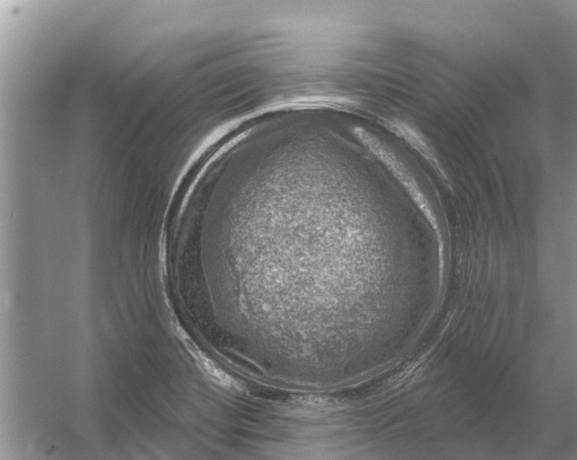 X0000058141420200510072019