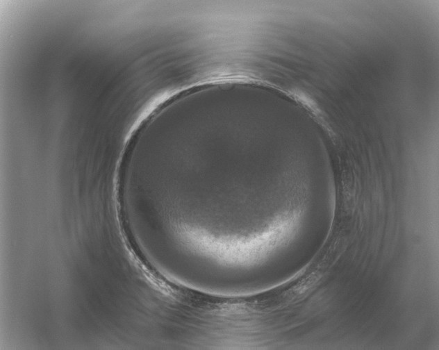 X0000058141422200510072019